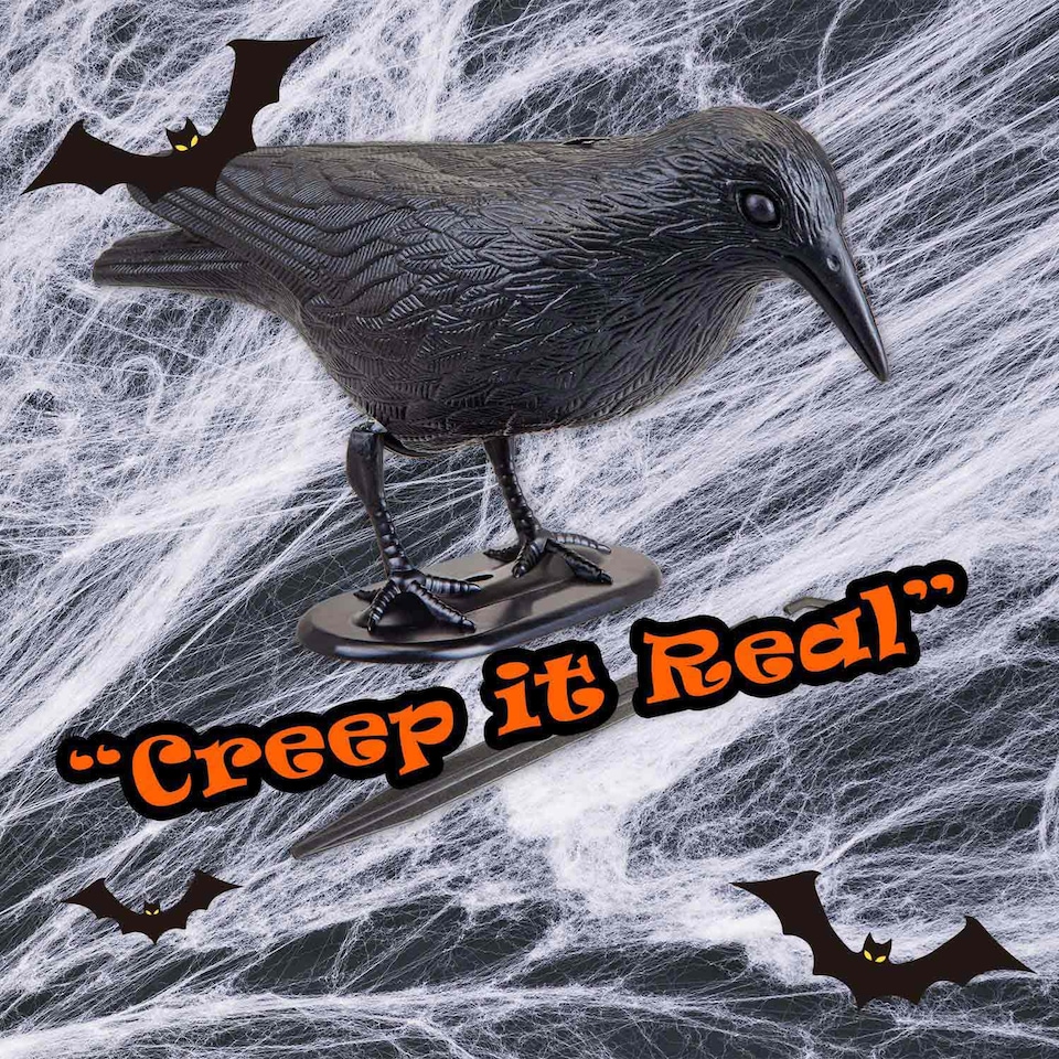 image 1 of vfm-estore Halloween Black Crow Decoration with Ground Spike - 19.4 x 13 cm