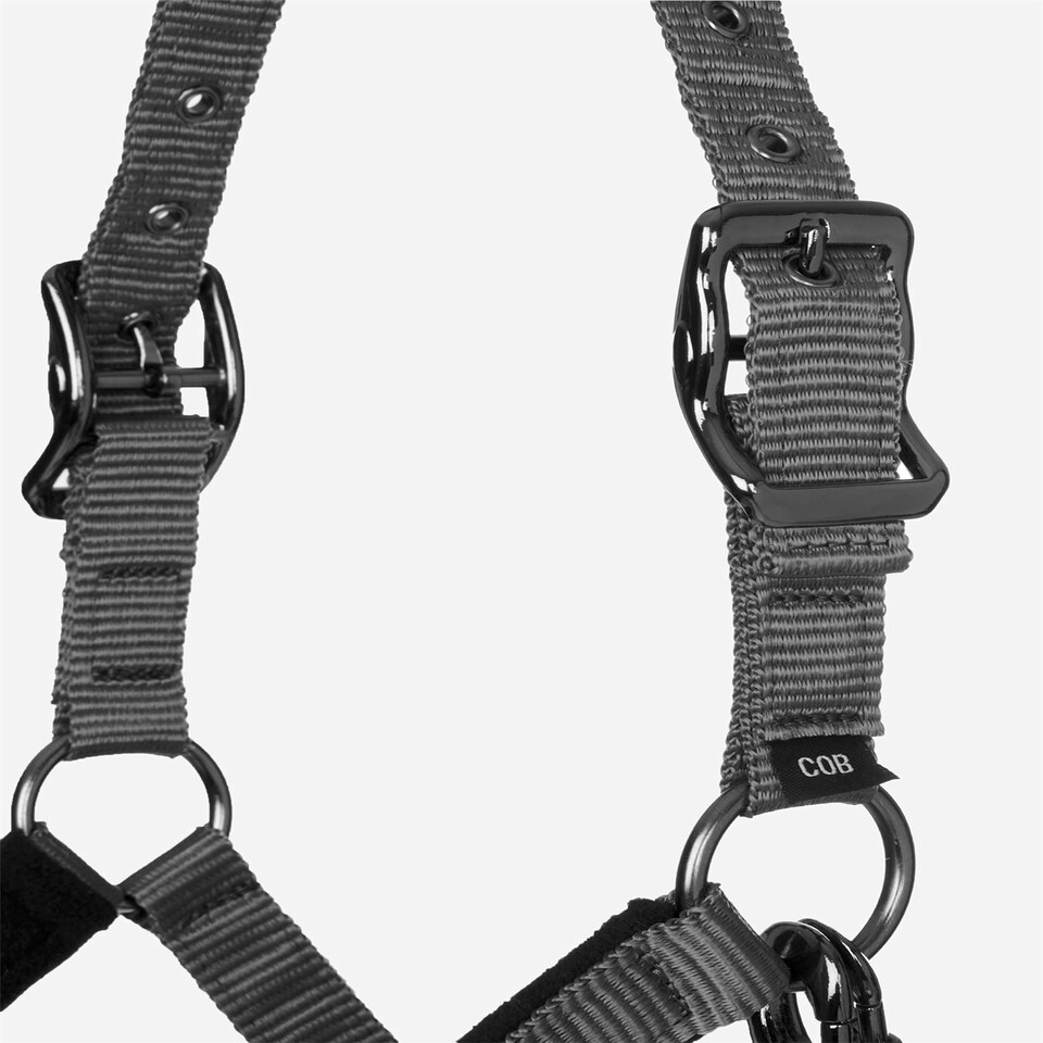image 1 of LeMieux Vogue Headcollar & Leadrope Red | Full