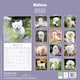 image 2 of Maltese 2026 Calendar | Square Wall Calendar | Dog Breed Gift | Plastic Free Packaging | by Avonside Publishing