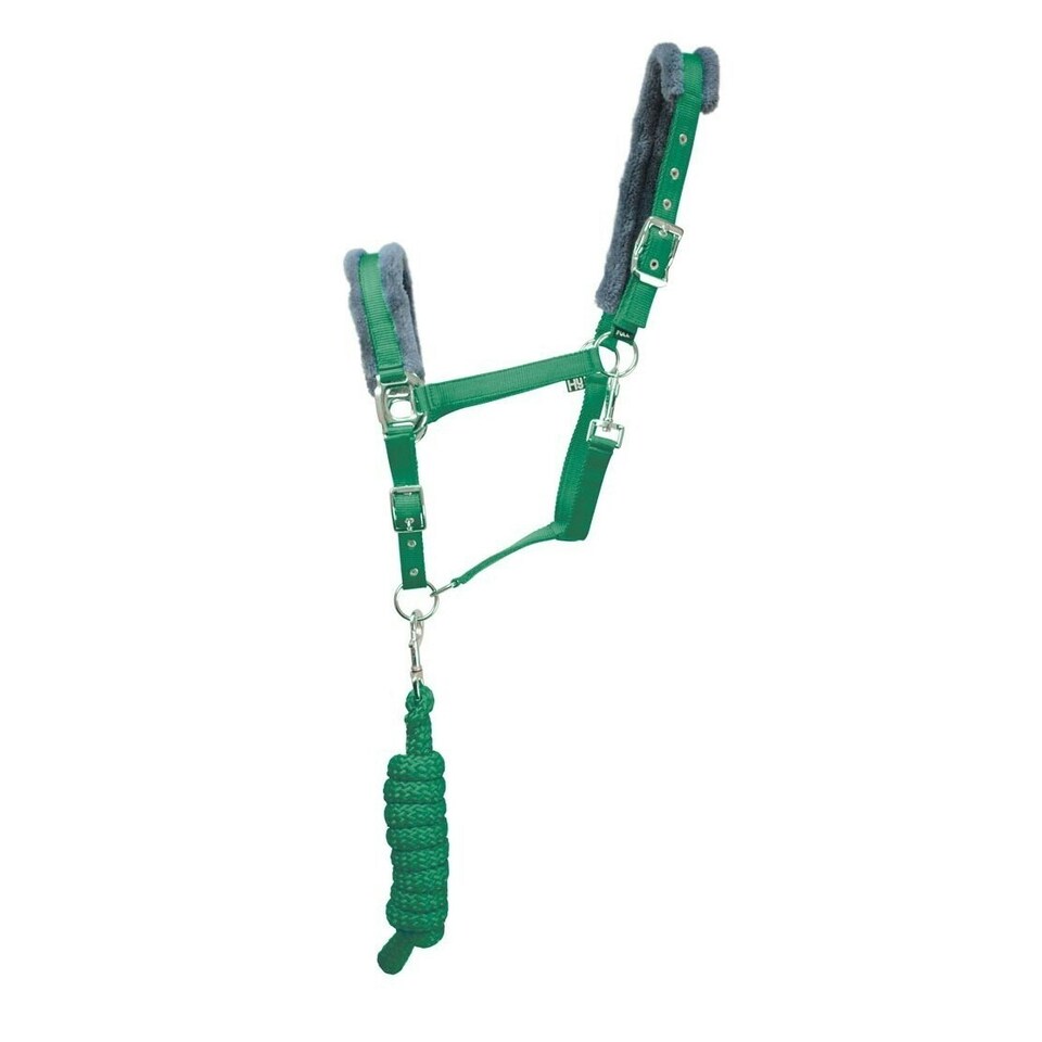 Hy Sport Active Horse Headcollar and Leadrope - Emerald Green - Full
