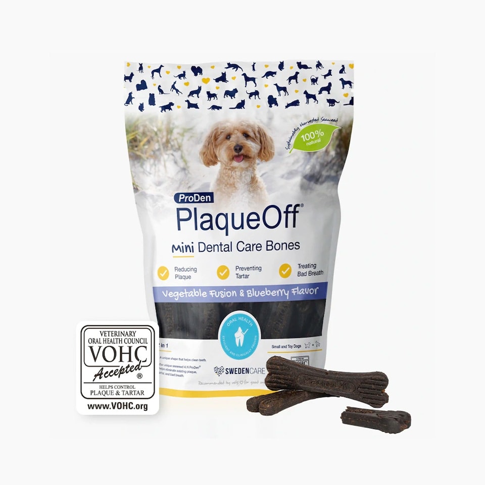 image 1 of ProDen PlaqueOff Veg & Blueberry Mini Dental Bones for Small & Toy Dogs