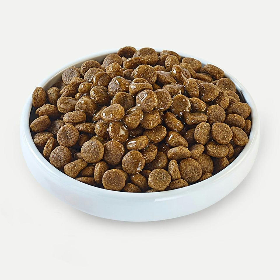 image 1 of 12 x 200g Applaws Taste Toppers 100% Natural Wet Dog Food Topper Beef Bone Broth