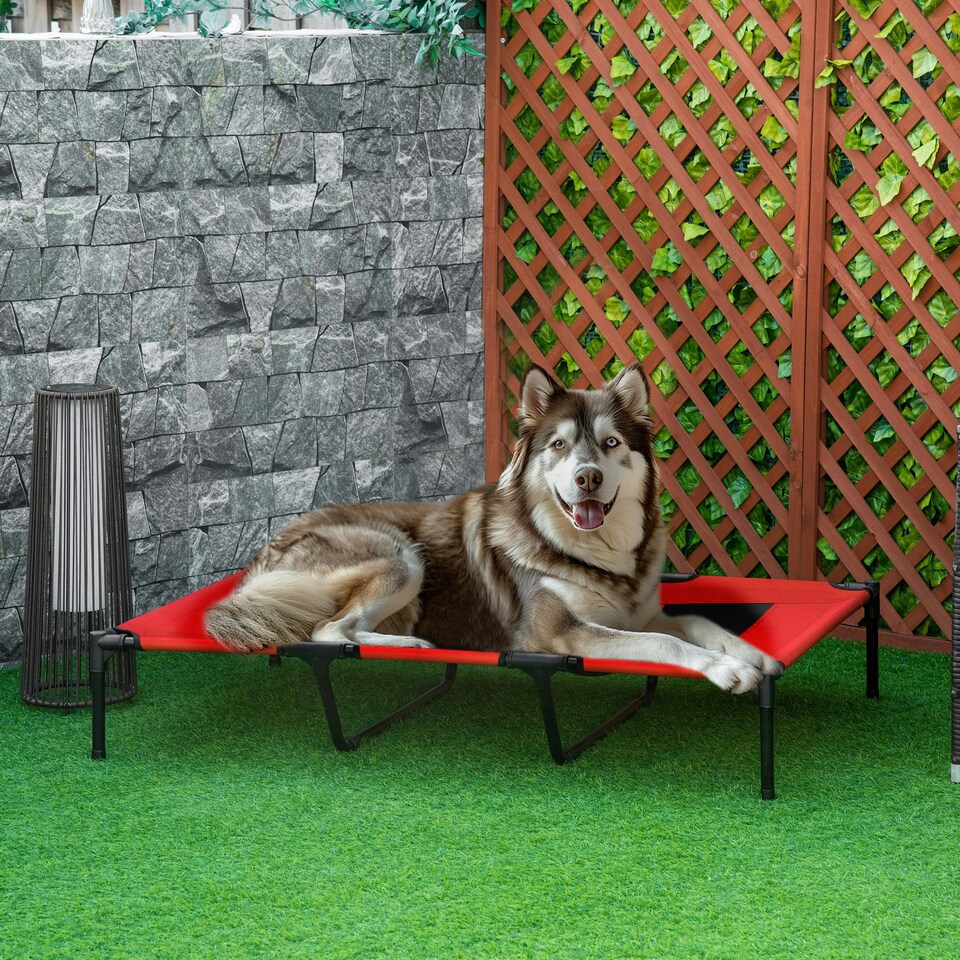 image 1 of PawHut Elevated Dog Bed Cooling Raised Pet Cot for Indoor Outdoor Use, XX Large