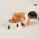 image 7 of Scruffs Small Pet Woodland Ceramic Set - House, Water & Food Bowl