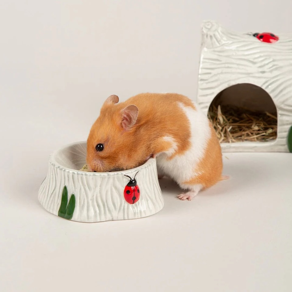 image 1 of Scruffs Small Pet Woodland Ceramic Set - House, Water & Food Bowl
