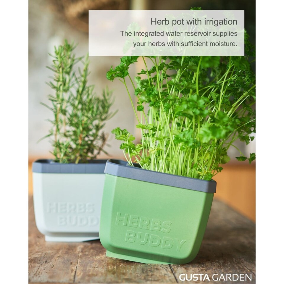 image 1 of GUSTA GARDEN Herbs Buddy - Self-Watering Pot & Herb Pot for Kitchen & Windowsill, Ideal for Basil, Water Tank, Water Level Indicator (3units - Light Grey)