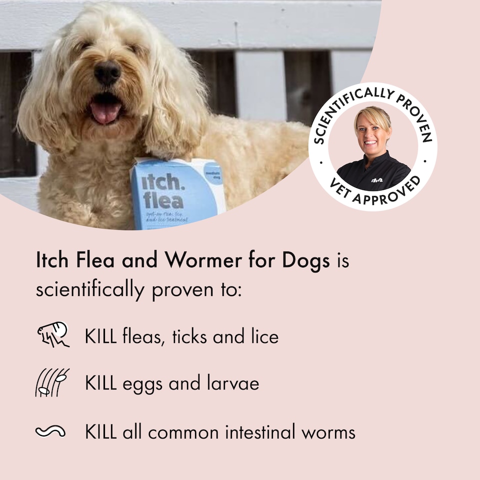 image 1 of Itch Flea Medium Dog Flea and Tick Treatment and Wormer Bundle