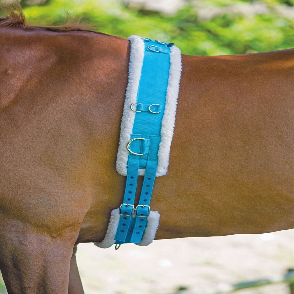 image 1 of Shires Nylon Roller With Fleece Padding Black | Size: Full
Colour: Black