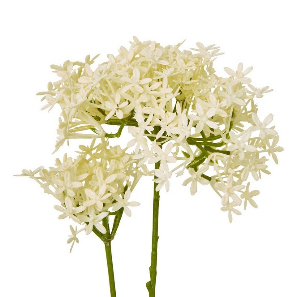 image 1 of Crown Hydrangea (Single Stem Flower) - Plastic - L15 x W18 x H71 cm - Cream