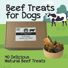 HugglePets Assorted Natural Beef Dog Treat Box (40 pcs)