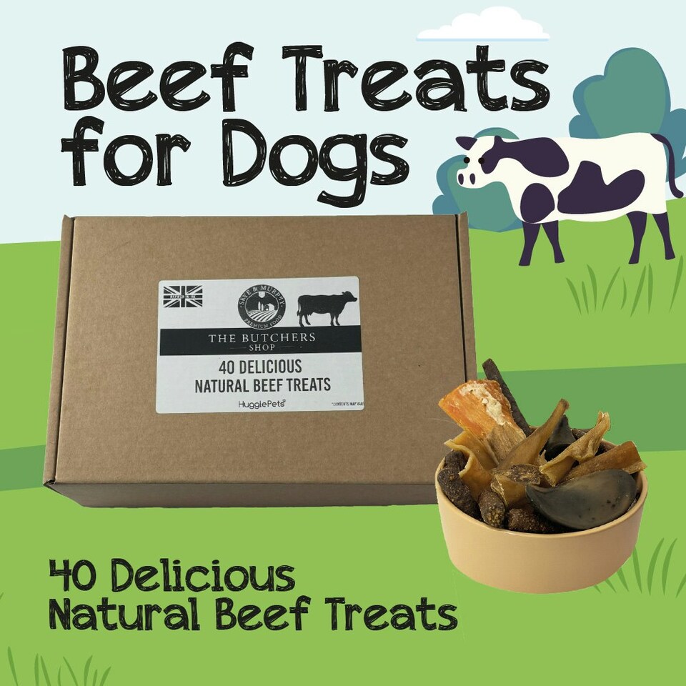 image 1 of HugglePets Assorted Natural Beef Dog Treat Box (40 pcs)