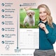 image 6 of Tibetan Terrier 2026 Calendar | Square Wall Calendar | Dog Breed Gift | Plastic Free Packaging | by Avonside Publishing