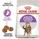 image 2 of ROYAL CANIN® Appetite Control Sterilised N/A | Size: 4kg
Breed: Adult