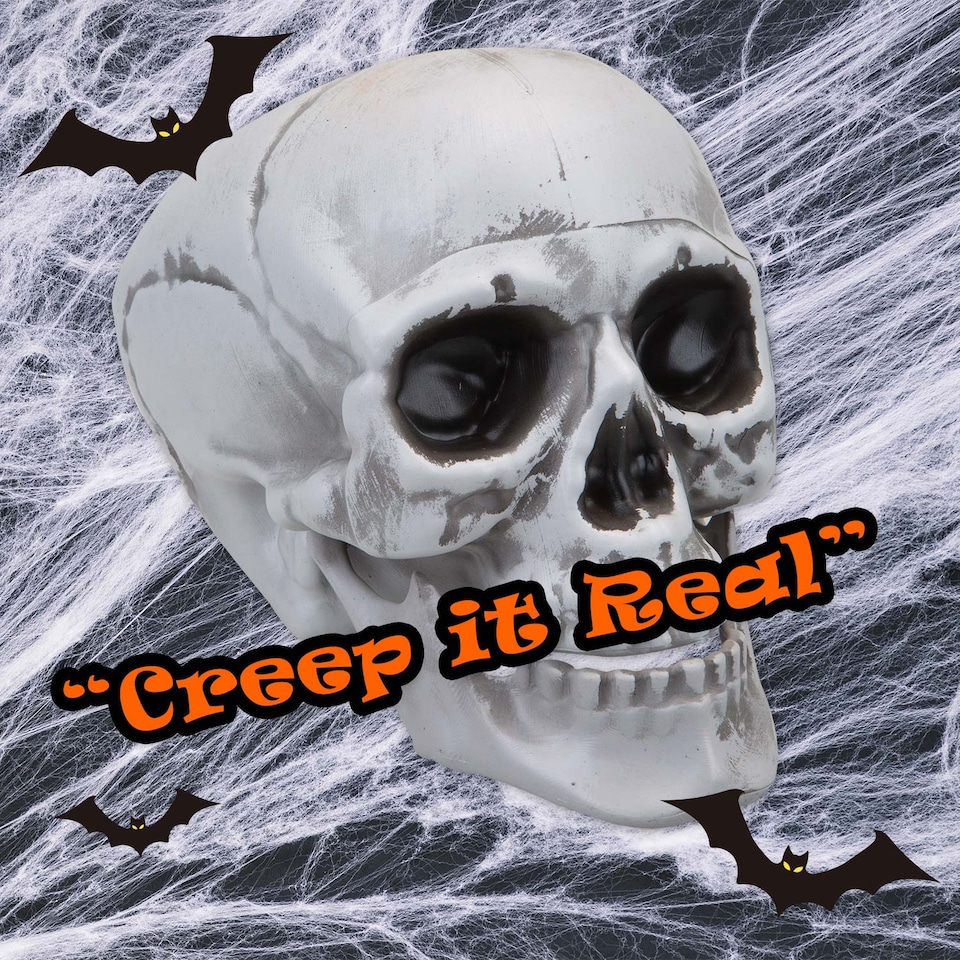 image 1 of PMS Large Skull Decoration with Moving Jaw - 19cm White
