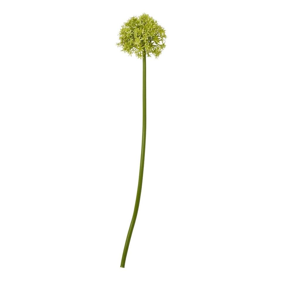 image 1 of Hill Interiors Allium Stem Artificial Plant - Green - 75cm