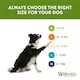 image 5 of Whimzees Stix Small 12 Cm 24pk (+ 4 Foc) (Pack of 6)