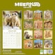 image 2 of Meerkats 2026 Calendar | Square Wall Calendar | Animal Gift | Plastic Free Packaging | by Avonside Publishing