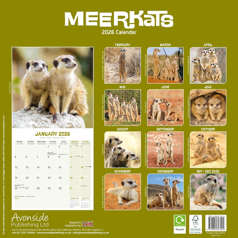 image 1 of Meerkats 2026 Calendar | Square Wall Calendar | Animal Gift | Plastic Free Packaging | by Avonside Publishing
