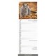 image 3 of Cats Slim 2026 Calendar | Slimline Wall Calendar | Cat Gift | Plastic Free Packaging | by Avonside Publishing [Calendar] Avonside Publishing Ltd