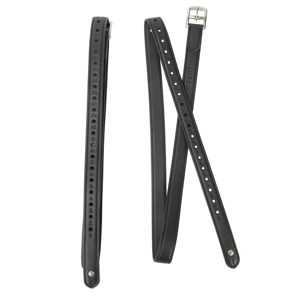 image 1 of Velociti Lusso Non-Stretch Stirrup Leathers Black | Size: 1 Inch X 54 Inch
Colour: Black