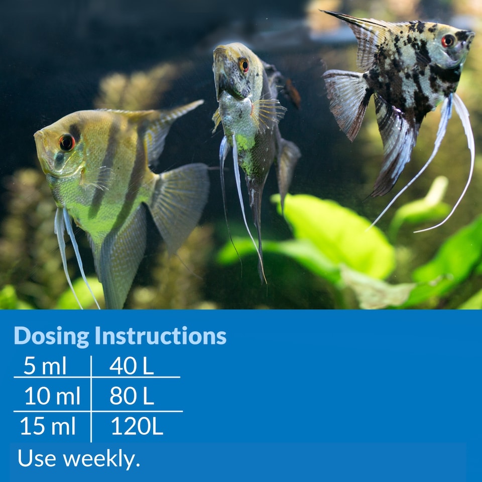 image 1 of 237ml API Prevent Algae Prevents Algae Growth and Maintains Clear Healthy Aquarium Water Aquarium Treatment and Fish Care