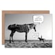 image 1 of Zebra Horse Pun Speech Bubble Joke Funny Birthday Card