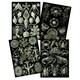 image 1 of Set of 4 Vintage Ernst Haeckel Nature Biology Sea Ocean Wall Art Print Home Decor 12x16 Inch