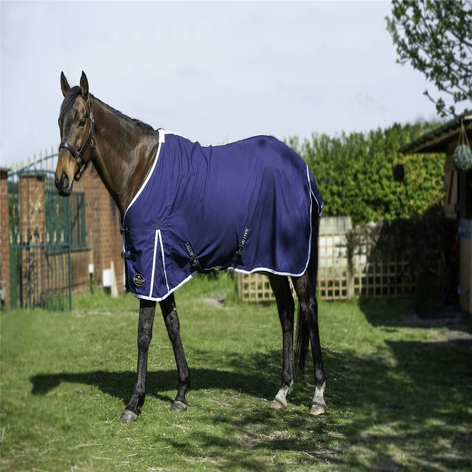 image 1 of Gallop Equestrian Summer Sheet Pink | Size: 6ft 0
Colour: Burgundy