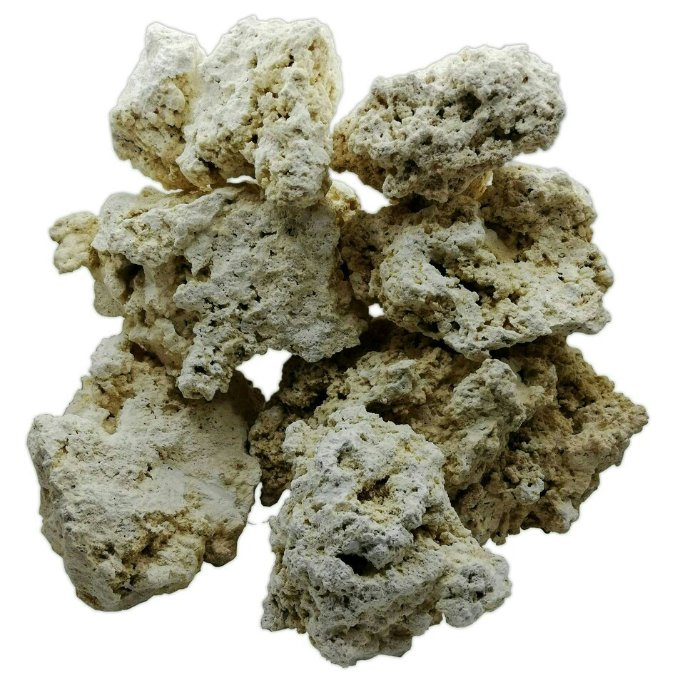 image 1 of Dry Ocean Reef Rock 20kg N/A | 9-12cm Pieces