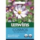 image 2 of Marshalls Garden Cosmos Seeds 'Tip Top Picotee' 100 seeds