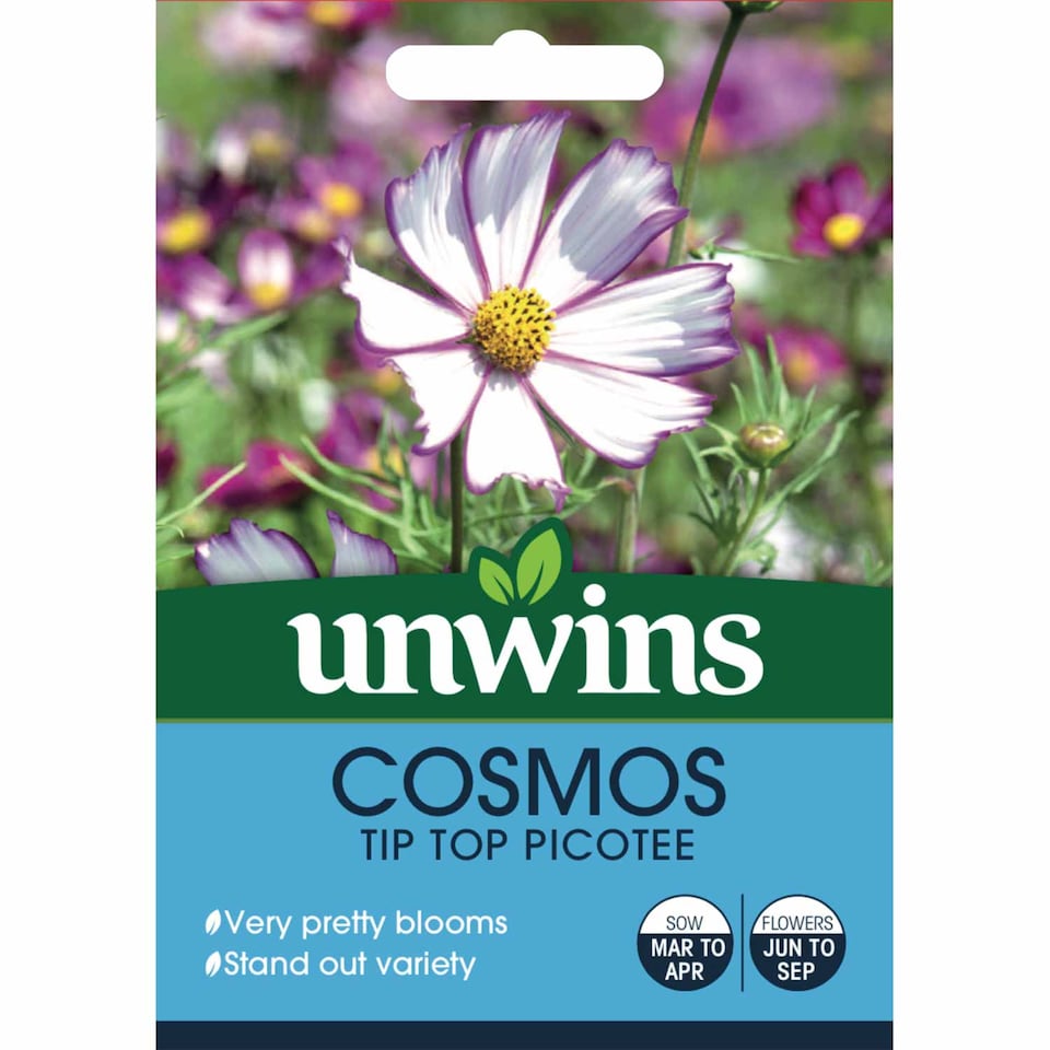 image 1 of Marshalls Garden Cosmos Seeds 'Tip Top Picotee' 100 seeds