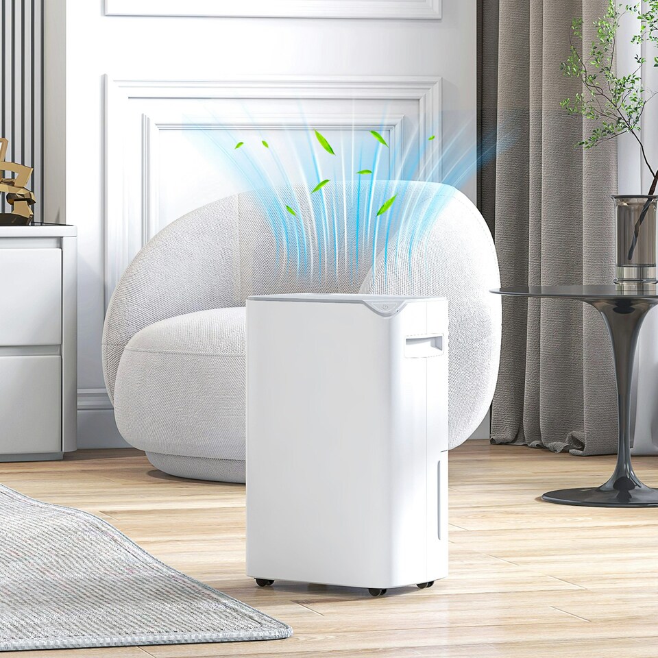 image 1 of HOMCOM 20L/Day Small Dehumidifier for Home Damp Laundry, with 24H Timer