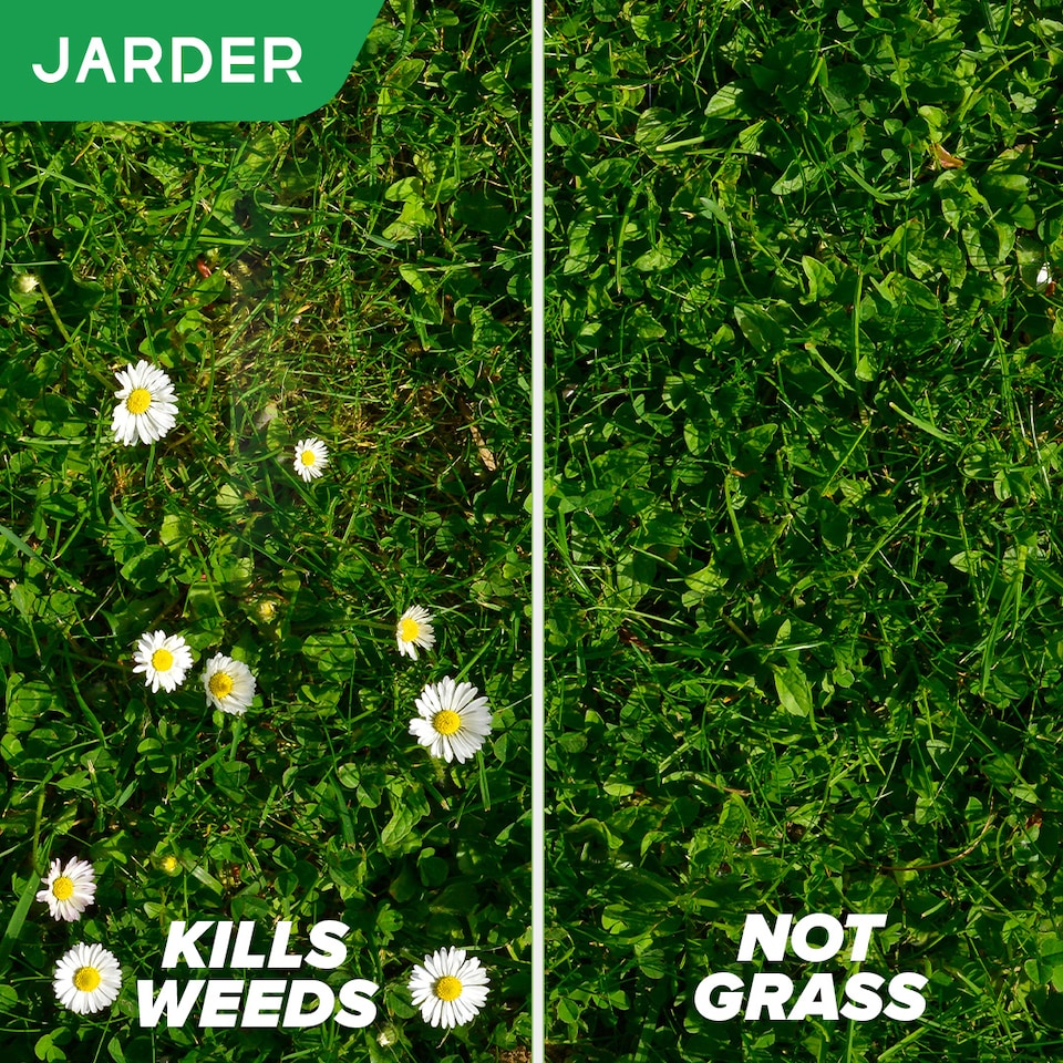 image 1 of Jarder Weed and Feed Lawn Treatment 3kg x 3