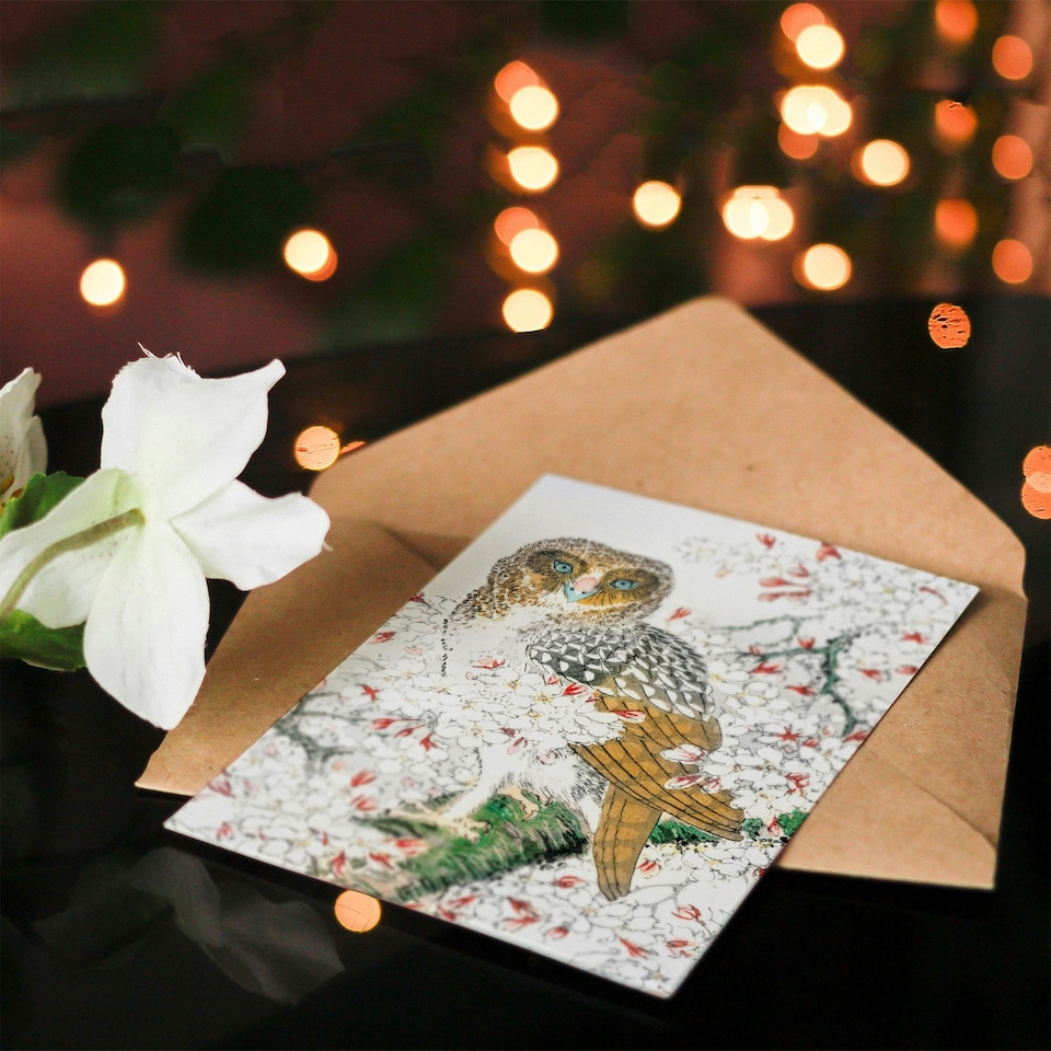 image 1 of Numata Kashu Art Card Short Eared Owl on Cherry Blossom Tree