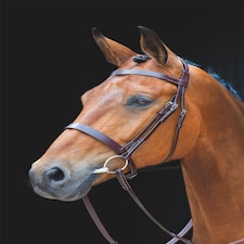Shires Salisbury Berrington Bridle Brown | Colour: Australian Nut
Size: Cob