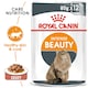 image 2 of ROYAL CANIN® Intense Beauty Care Adult Wet Cat Food N/A | Size: 12 x 85g
Texture: Jelly
