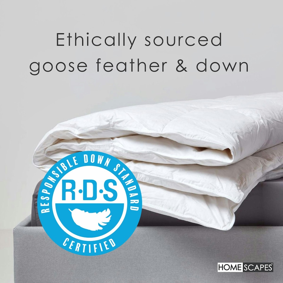 image 1 of Homescapes Goose Feather and Down 10.5 Tog Duvet, Single