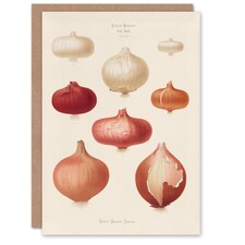 Ernst Benary Art Card Onion Varieties Vintage Illustration