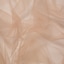 Toasted Almond