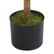 image 2 of Artificial Boxwood Buxus Topiary Tree 120cm Trunk | Green | 4ft