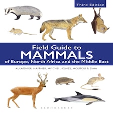 Bns Field Guide To Mammals Of Europ