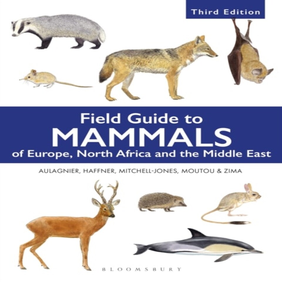 Bns Field Guide To Mammals Of Europ