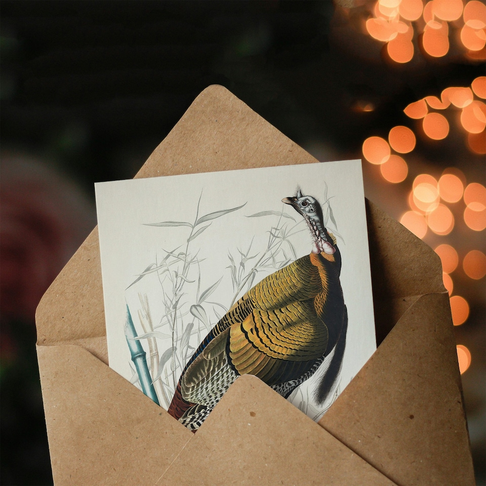 image 1 of John James Audubon Art Card Birds of America Wild Turkey
