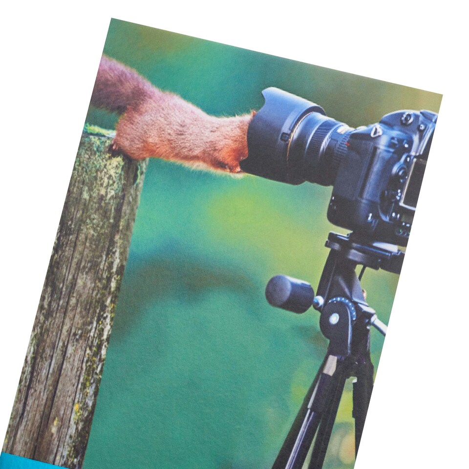 image 1 of Humour Birthday Card - Squirrel In Camera