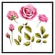image 2 of Roses & leaves (Picutre Frame) Brown | Oak | M