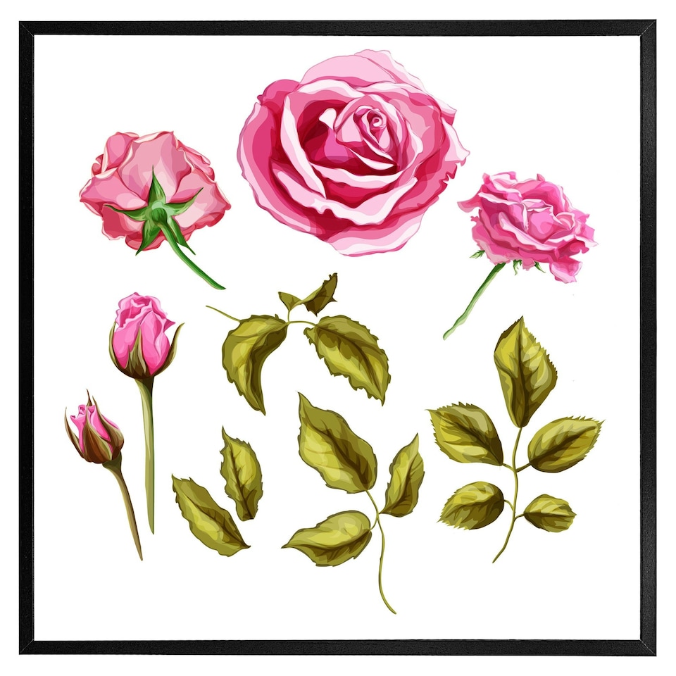 image 1 of Roses & leaves (Picutre Frame) Brown | Oak | M
