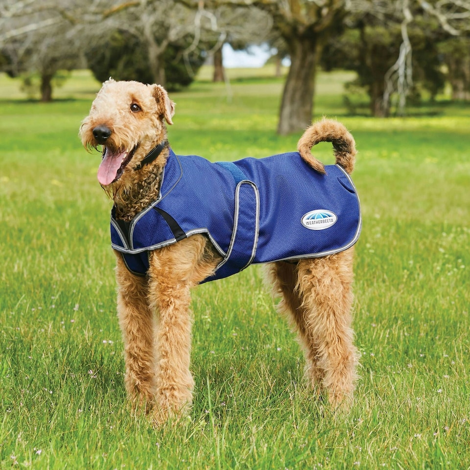 image 1 of Weatherbeeta Comfitec Premier Free Duo Deluxe Parka Dog Coat - Dark Blue/Grey/White - 45cm