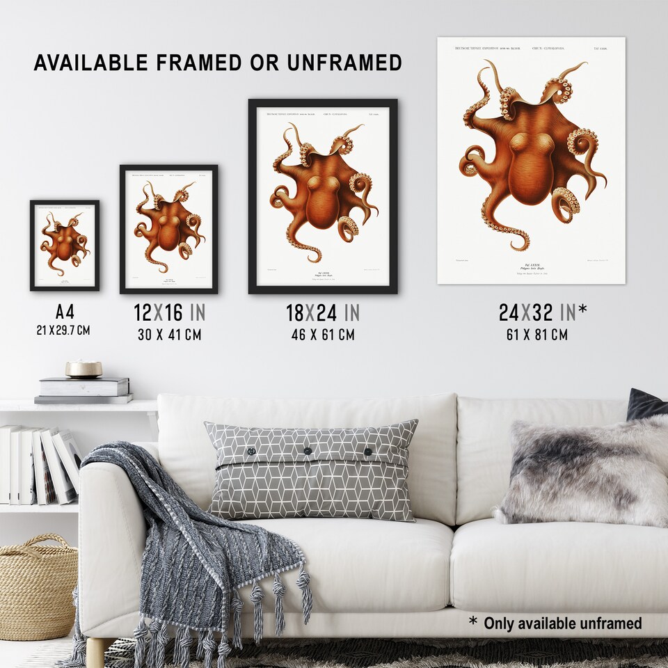 image 1 of Octopus Vintage Illustration Carl Chun Wall Art Poster Print 12X16"