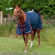 image 3 of Gallop Equestrian Trojan 200 Standard Turnout Red | Size: 5ft 6
Colour: Navy/Red