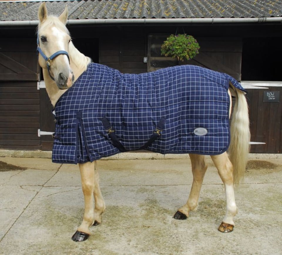 Rhinegold Denver Quilt | White | Colour: Navy/White
Size: 4ft 6